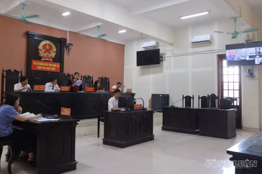 “Đầu nậu” ma túy lĩnh án