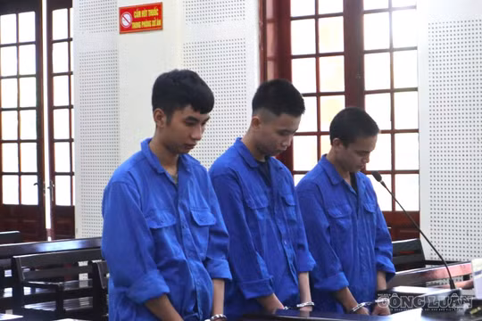 Gã trai giấu ma túy trong chuồng gà