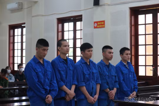 Thua bài bạc, ông bố trẻ lao vào con đường buôn ma túy