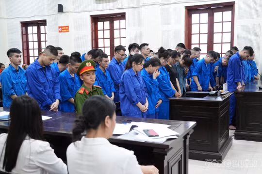 Vạch trần kịch bản tìm đàn ông thành đạt để chiếm đoạt hơn 71 tỷ của những người đẹp ảo