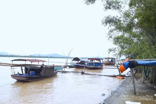 Xóm chài bên sông Lam mòn mỏi với giấc mơ an cư