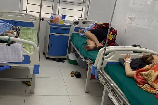 Xử phạt 80 triệu đồng, đình chỉ 2 cơ sở bánh mì gây ngộ độc thực phẩm