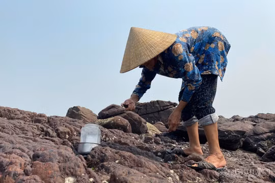 Nhọc nhằn nghề đẽo đá 'ra tiền' của phụ nữ miền biển