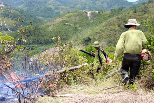 Gần nghìn người căng mình dập lửa cứu rừng suốt hai ngày đêm, đám cháy cơ bản được khống chế