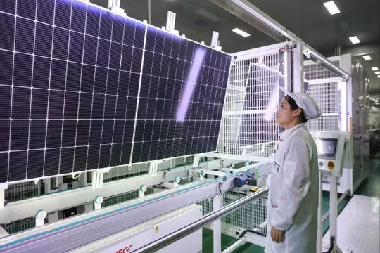 'Cai' dầu Nga, EU lại phụ thuộc năng lượng xanh Trung Quốc 