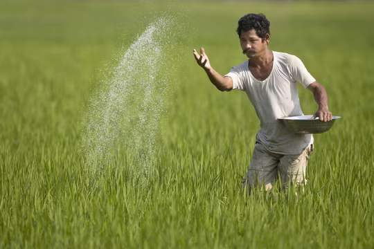 An ninh lương thực toàn cầu bị đe dọa