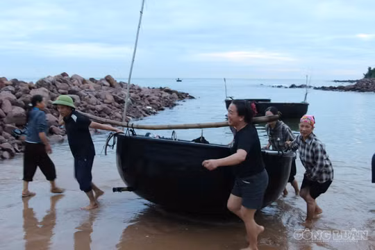 Trắng đêm câu mực kiếm tiền triệu từ chiếc thuyền thúng