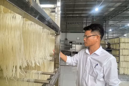 Người đàn ông rời phố về quê mở xưởng miến khô