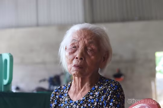 Ước nguyện cuối đời của Mẹ Việt Nam Anh hùng có 2 người con liệt sĩ