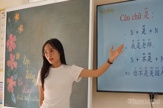 Từ cô gái bỏ học đại học đi làm công nhân đến hành trình chinh phục học bổng thạc sĩ