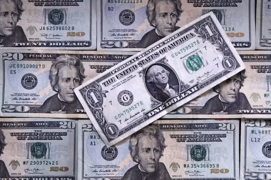 USD ghi nhận tuần tăng mạnh nhất kể từ tháng 6
