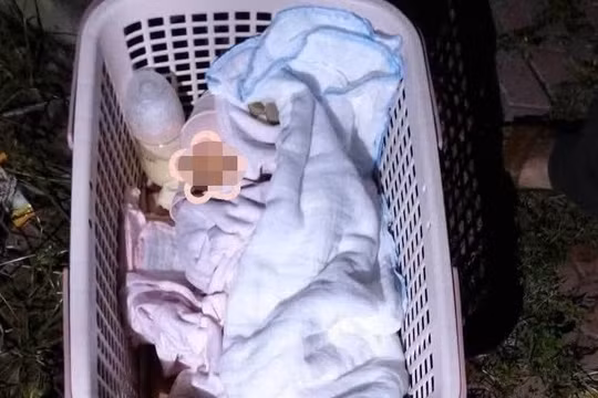 Bé gái bị bỏ rơi dưới gốc xà cừ kèm lá thư xin lỗi 