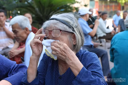 Thu nhận mẫu ADN để gấp rút “trả danh tính, nối người thân” cho liệt sĩ