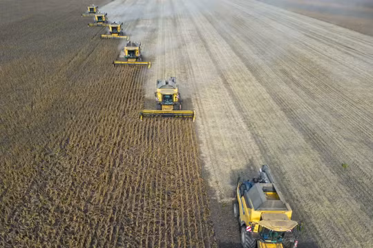 El Niño có thể kéo dài cơn sốt giá lương thực đến năm 2028