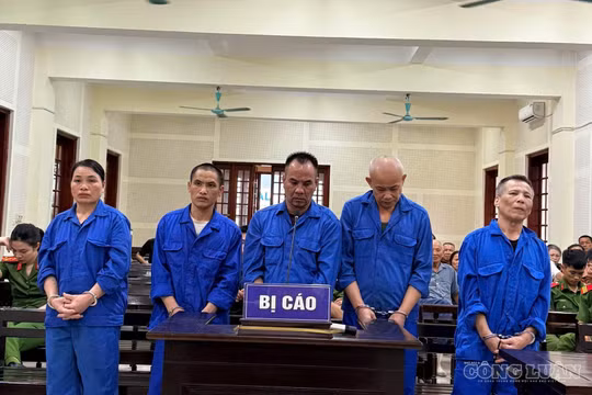Buôn cả yến ma túy, 2 bị cáo lĩnh án tử hình