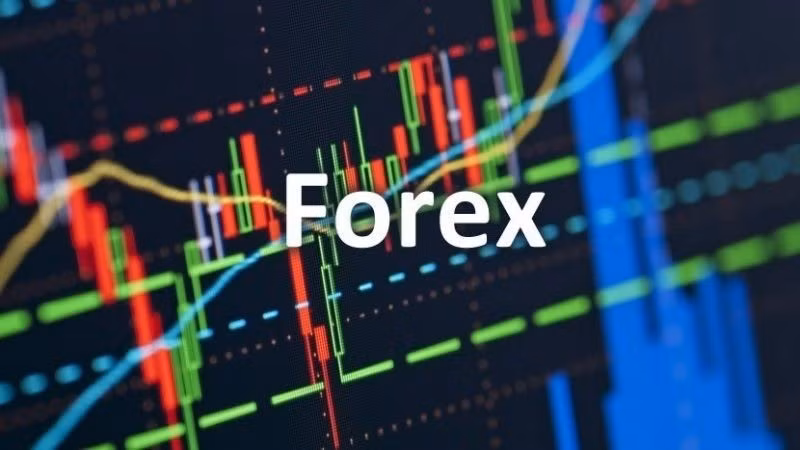 san-forex-2.jpg