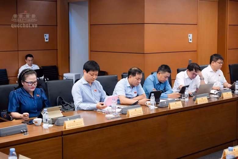 cac-dai-bieu-chieu-973.jpg