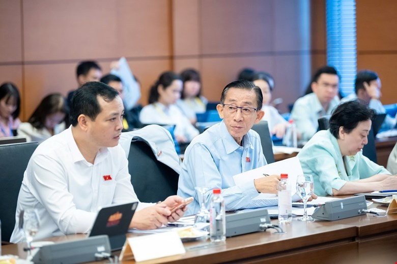 cac-dai-bieu-to.jpg