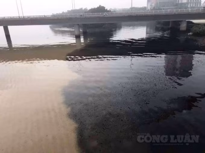 Sông Hàn bị nhuộm một màu đen vào ngày 13/11.