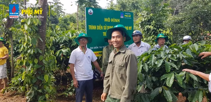 Bà con tham quan mô hình trình diễn sử dụng phân bón Phú Mỹ trên cây cà phê của anh Phạm Văn Băng.