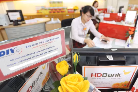 Ngân sách sẽ hỗ trợ nếu Bảo hiểm tiền gửi Việt Nam thiếu vốn