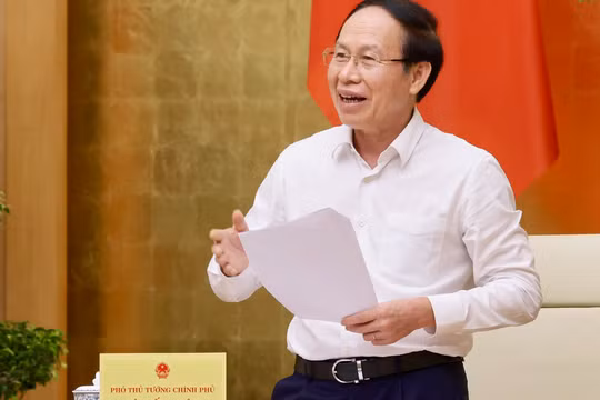 Báo cáo Đề án "Phát triển Đại học Quốc gia Hà Nội thuộc nhóm cơ sở giáo dục đại học hàng đầu châu Á" trước ngày 25/7