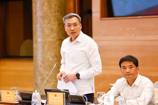 'Chặn đứng' 159 trang mạng phát trực tiếp bóng đá vi phạm quyền sở hữu trí tuệ