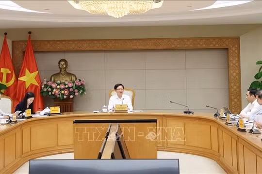Đàm phán bán tín chỉ các-bon rừng ngay trong tháng 6/2026