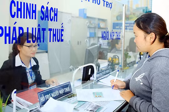 Việt Nam triển khai 26 hành động đáp ứng tiêu chuẩn minh bạch thuế toàn cầu