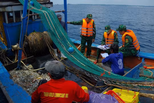 Mạnh tay chống khai thác IUU: Phạt tiền đến 1 tỷ đồng đối với chủ tàu cá vi phạm nghiêm trọng