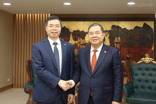 Phó Thủ tướng Thường trực Phạm Gia Túc tiếp lãnh đạo hai tập đoàn lớn của Trung Quốc