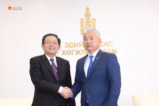 Phó Thủ tướng Hồ Quốc Dũng làm việc với Phó Thủ tướng Thường trực Mông Cổ Jadamba Enkhbayar