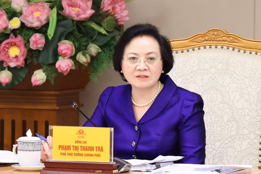 Phó Thủ tướng Phạm Thị Thanh Trà đảm nhận thêm nhiệm vụ