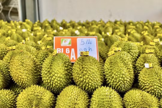 Đề xuất giao cấp xã cấp mã số vùng trồng: Làm trực tuyến, nhận kết quả tự động sau 3 ngày