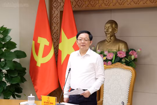 Nghiên cứu đưa nguyên tắc thuế chống đầu cơ vào Luật Đất đai (sửa đổi)