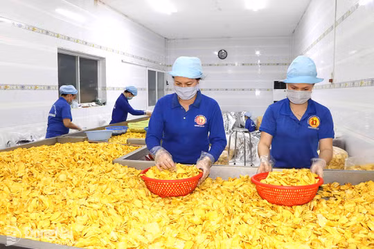 Đồng Nai cần chuyển từ 'sản xuất nhiều, xuất khẩu thô' sang 'xuất khẩu xanh, xuất khẩu số và có giá trị gia tăng cao'