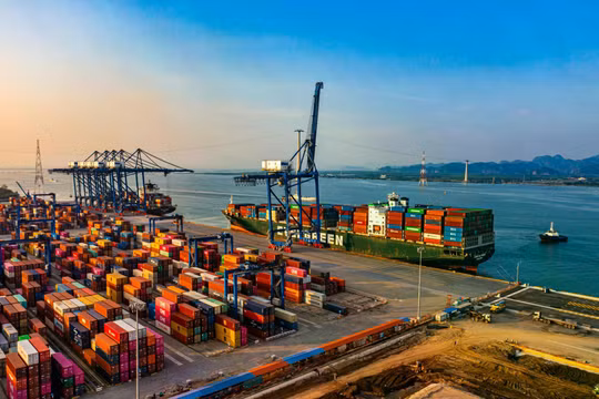 Khu thương mại tự do phải có quy mô tối thiểu 1.000 ha, kết nối vận tải đa phương thức
