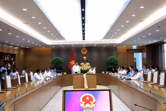 Tạo điều kiện để doanh nghiệp Việt Nam tham gia khảo sát, đầu tư dự án điện gió ngoài khơi