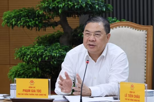 Phó Thủ tướng Thường trực Phạm Gia Túc làm Trưởng ban chỉ đạo thu hồi tài sản trong các vụ án Vạn Thịnh Phát