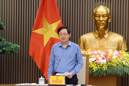 Xử lý nghiêm hành vi môi giới, mua bán, cho thuê mã số vùng trồng trái quy định