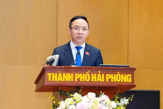 Thủ tướng phê chuẩn kết quả bầu Phó Chủ tịch UBND TP Hải Phòng và TP Đồng Nai
