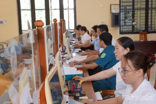 Trình Bộ Chính trị phương án giao biên chế giai đoạn 2027 – 2031 trong quý IV/2026