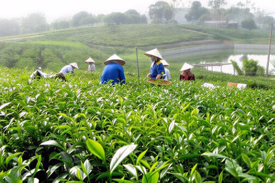 Khoa học, công nghệ và hạ tầng số: Đòn bẩy phát triển vùng đồng bào dân tộc thiểu số