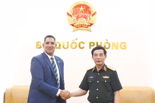 Phó Thủ tướng Chính phủ, Bộ trưởng Bộ Quốc phòng Phan Văn Giang tiếp Đại sứ Thụy Điển và Đại sứ Algeria