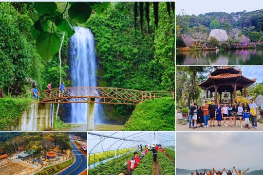 Quảng Ngãi mở không gian phát triển mới trên nền biển - đồng bằng - cao nguyên