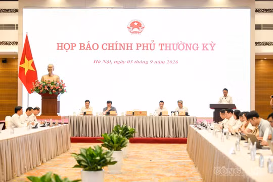 Vụ 'Phú Lê': Khởi tố bị can lừa đảo liên quan đến môi giới chạy án