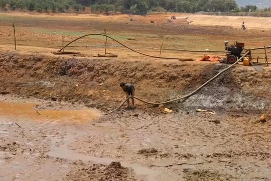 Khoanh vùng nguy cơ cao, xác định trách nhiệm đến cấp xã trong ứng phó El Nino