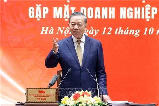 Tổng Bí thư, Chủ tịch nước Tô Lâm: Doanh nghiệp vững mạnh góp phần bồi đắp sức mạnh quốc gia