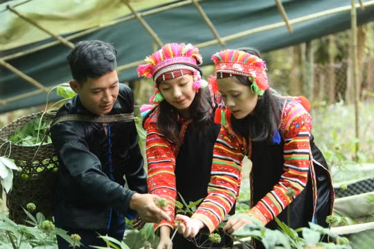 Nghị quyết 57-NQ/TW: Đưa khoa học, công nghệ đến gần hơn với đồng bào dân tộc thiểu số