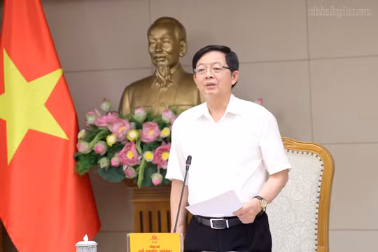 Quản lý, khai thác hiệu quả 2.100 ha đất sau phục hồi sông Bắc Hưng Hải, Nhuệ-Đáy, Ngũ Huyện Khê